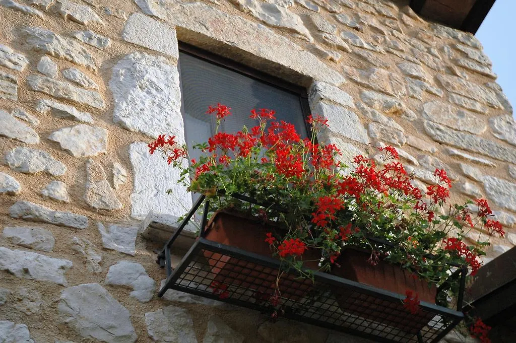 Agriturismo La Palombara-1
